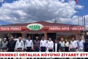 Ak Parti Kastamonu Milletvekili Fatma Serap Ekmekci Ortalıca Köyü’nü Ziyaret Etti