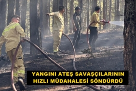 Ateş Savaşçılarından Orman Yangınlarına Hızlı Müdahale
