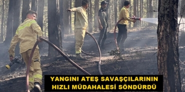 Ateş Savaşçılarından Orman Yangınlarına Hızlı Müdahale
