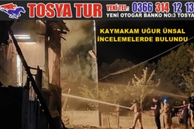 Kaymakam Uğur Ünsal, Dedem Köyünde İncelemelerde Bulundu