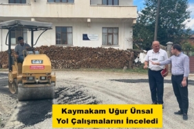 Kaymakam Uğur Ünsal Yol Çalışmalarını İnceledi