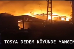 Tosya Dedem Köyünde Yangın, 2 Ev Yandı