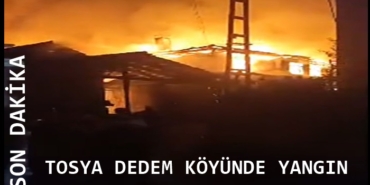 Tosya Dedem Köyünde Yangın, 2 Ev Yandı