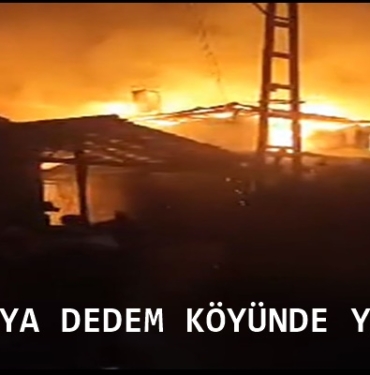 Tosya Dedem Köyünde Yangın, 2 Ev Yandı