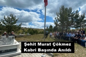 Şehit Murat Çökmez Kabri Başında Anıldı