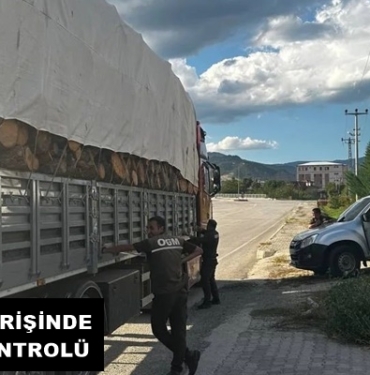 Orman Ekiplerinden Tosya Girişinde Araç Kontrolü