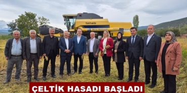 Tosya’da Çeltik Hasadı Başladı