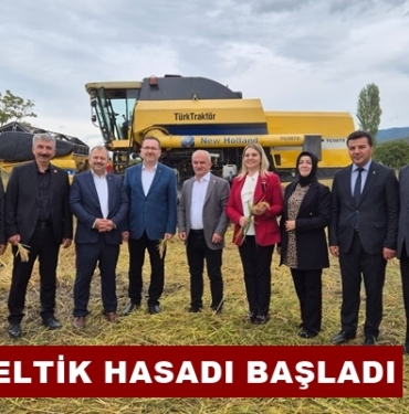 Tosya’da Çeltik Hasadı Başladı