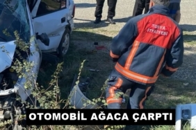 Atatürk Caddesinde Kaza, 1 Yaralı