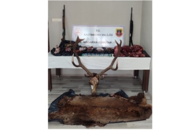 Geyik Avcıları Jandarma Ekiplerine Yakalandı