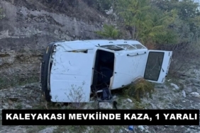 Kaleyakası Mevkiinde Kaza, 1 Yaralı