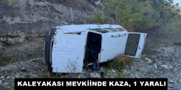 Kaleyakası Mevkiinde Kaza, 1 Yaralı