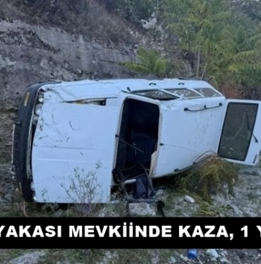 Kaleyakası Mevkiinde Kaza, 1 Yaralı