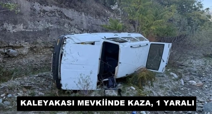 Kaleyakası Mevkiinde Kaza, 1 Yaralı
