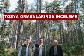 Orman Bölge Müdürü Hasan Yaslıkaya’dan Tosya Ormanlarında İnceleme