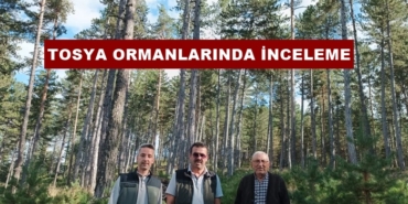 Orman Bölge Müdürü Hasan Yaslıkaya’dan Tosya Ormanlarında İnceleme