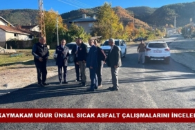 Kaymakam Uğur Ünsal Sıcak Asfalt Çalışmalarını İnceledi