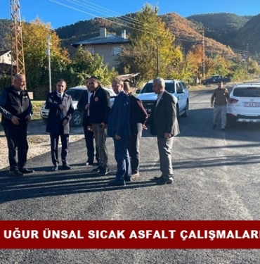 Kaymakam Uğur Ünsal Sıcak Asfalt Çalışmalarını İnceledi