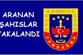 Jandarma, Tosya’da Aranan Şahısları Yakaladı