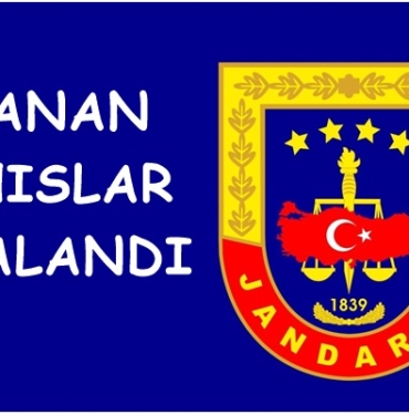 Jandarma, Tosya’da Aranan Şahısları Yakaladı