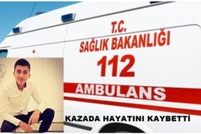 Kastamonu-Tosya Yolunda Kaza, Otomobil Ağaca Çarptı