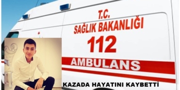 Kastamonu-Tosya Yolunda Kaza, Otomobil Ağaca Çarptı