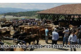 TOSYA HAYVAN PAZARI TEDBİREN KAPATILDI
