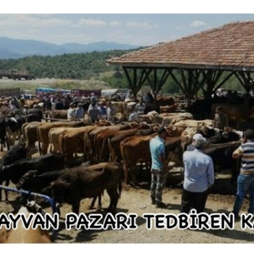 TOSYA HAYVAN PAZARI TEDBİREN KAPATILDI