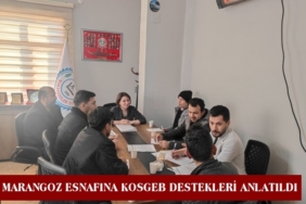 Tosya’da Marangoz Esnafına KOSGEB Destekleri Anlatıldı