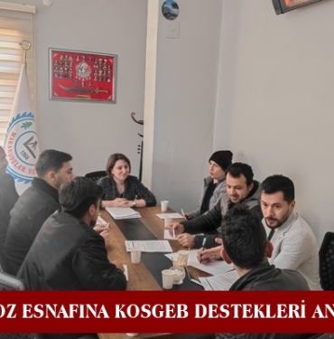 Tosya’da Marangoz Esnafına KOSGEB Destekleri Anlatıldı