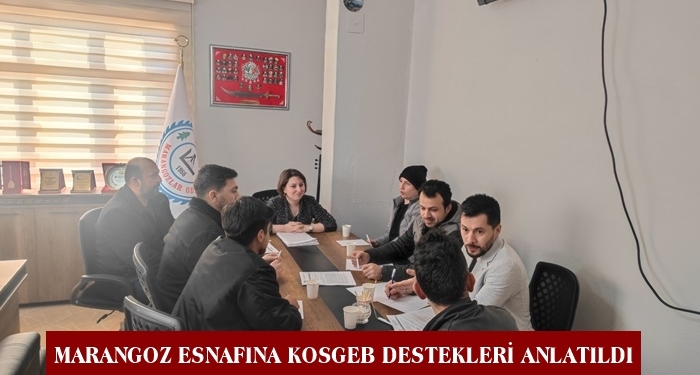 Tosya’da Marangoz Esnafına KOSGEB Destekleri Anlatıldı