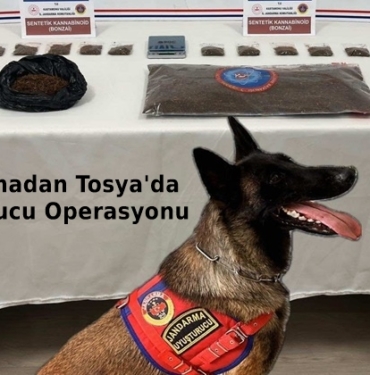Tosya’da Uyuşturucu Operasyonu