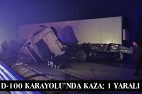 D-100 Karayolu’nda Kaza; 1 Yaralı