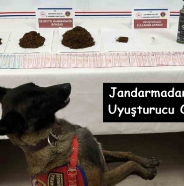 Jandarma’dan Tosya’da Uyuşturucu Operasyonu