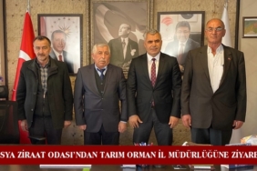 Tosya Ziraat Odası’ndan Tarım Orman İl Müdürlüğüne Ziyaret