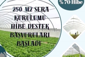 250 m2 Seralarda %70 Hibe Desteği Başladı