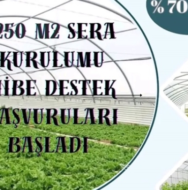 250 m2 Seralarda %70 Hibe Desteği Başladı