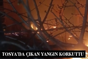 Tosya’da Çıkan Yangın Korkuttu