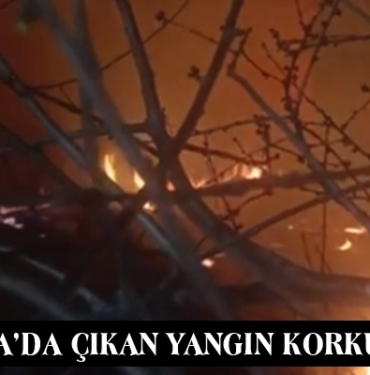 Tosya’da Çıkan Yangın Korkuttu
