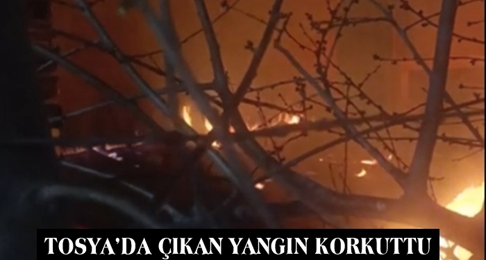 Tosya’da Çıkan Yangın Korkuttu