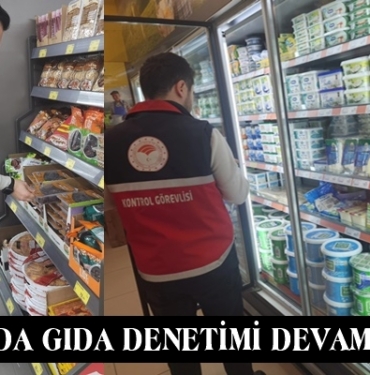 Tosya’da Gıda Denetimi Devam Ediyor