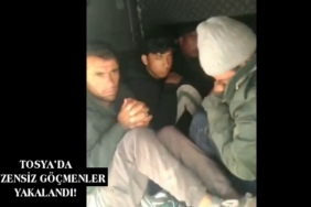TOSYA’DA DÜZENSİZ GÖÇMENLER YAKALANDI!