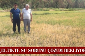 Çeltiğin Su Sorununda Gözler DSİ’ye Çevrildi