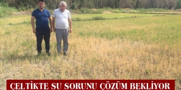 Çeltiğin Su Sorununda Gözler DSİ’ye Çevrildi
