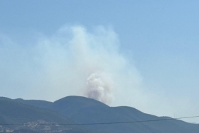 Ilgaz ve Tosya İlçeleri Sınırında Orman Yangını! Ekipler Seferber Oldu