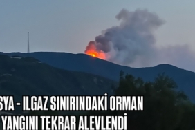 Tosya - Ilgaz arasındaki orman yangını tekrar alevlendi