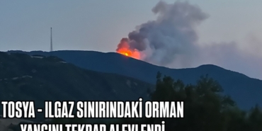 Tosya – Ilgaz arasındaki orman yangını tekrar alevlendi