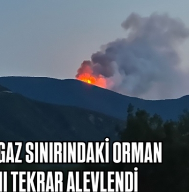 Tosya - Ilgaz arasındaki orman yangını tekrar alevlendi