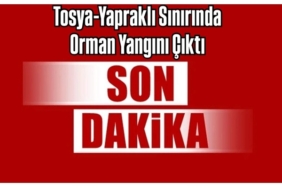 Tosya-Yapraklı Sınırında Orman Yangını Çıktı