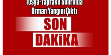 Tosya-Yapraklı Sınırında Orman Yangını Çıktı